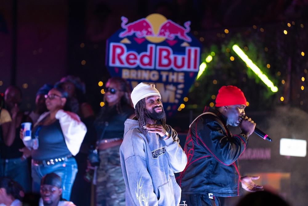 RED BULL ‘BRING THE VIM’: DANCE, MUSIC AND CULTURE - Viper Mag